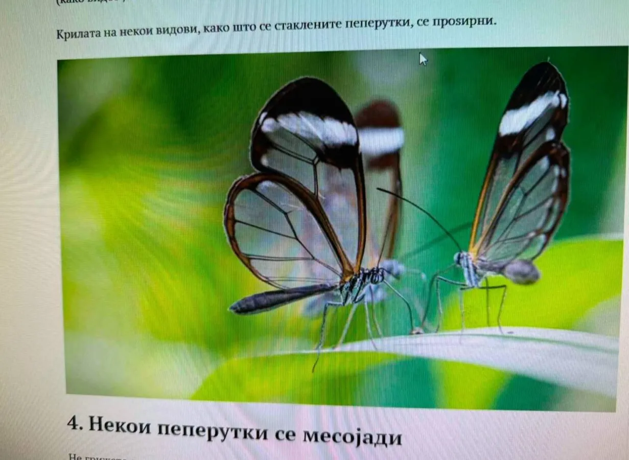 Одбележување на Светски ден на пеперутките