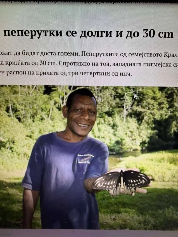 Одбележување на Светски ден на пеперутките